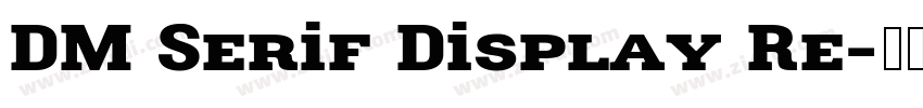 DM Serif Display Re字体转换
